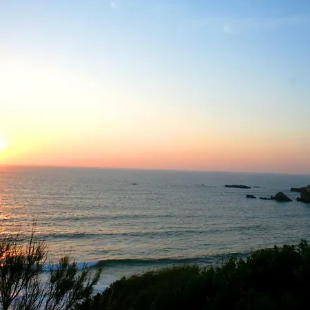 Daire Voltaire - Cozy Studio Au Calme - Centre Vielle - Tout A Pied - Wifi Biarritz
